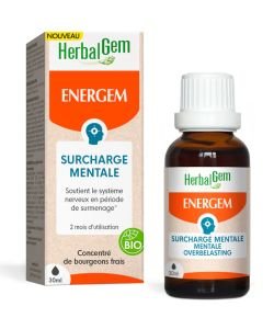 ENERGEM - Energie mentale et physique